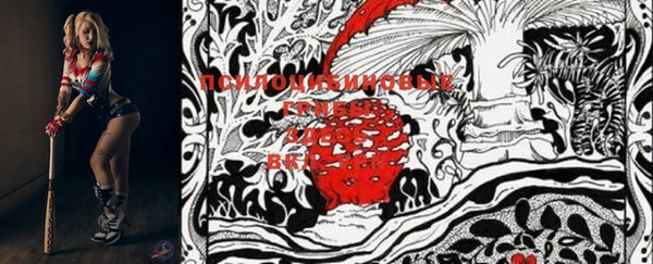 дурь Кодинск