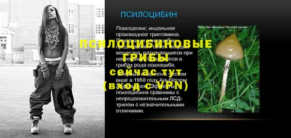 бошки Алексин