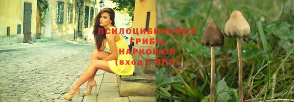 не бодяженный Алзамай