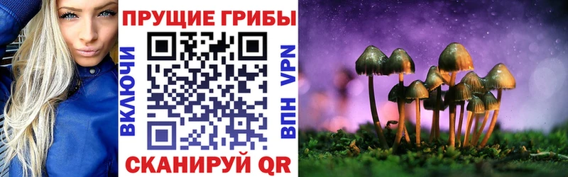 мориарти наркотические препараты  Чёрмоз  Псилоцибиновые грибы Psilocybine cubensis  купить  сайты 